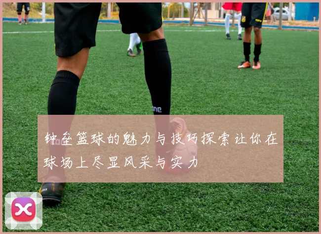 钟垒篮球的魅力与技巧探索让你在球场上尽显风采与实力