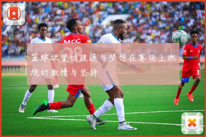 篮球欲望的追逐与梦想在赛场上燃烧的激情与坚持