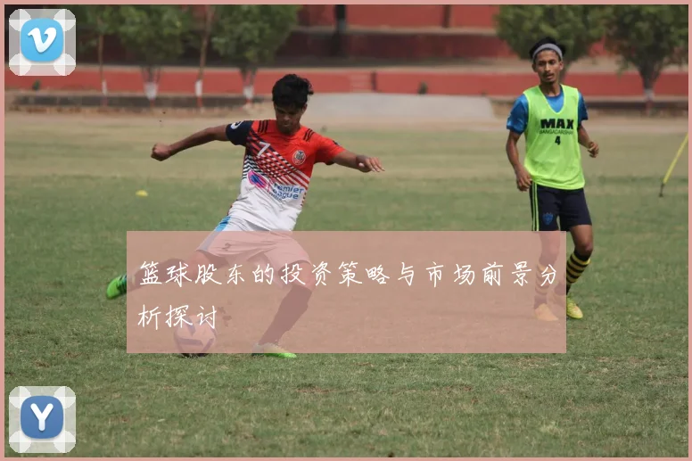 篮球股东的投资策略与市场前景分析探讨