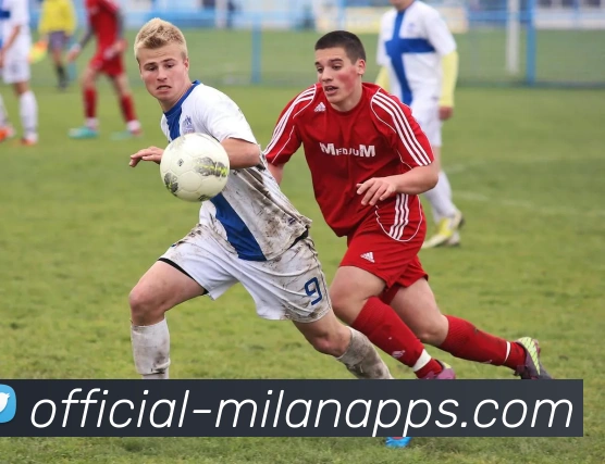 米兰体育APP 封面图